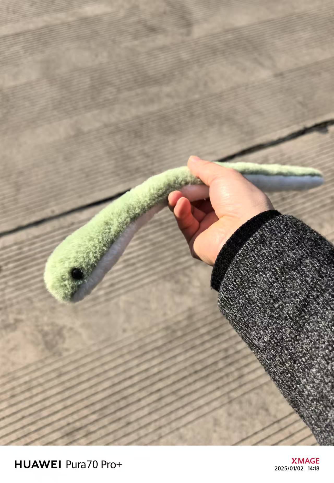 微信图片_202501021421571