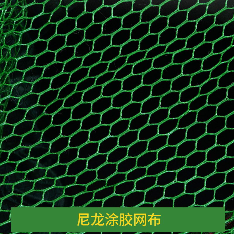 Fisherman's Fishing Net with Small Holes, Rubber-Coated Double Rings, Thickened Mesh Bag, Net Bag for Wild Fishing, Dedicated Drop Fishing Net