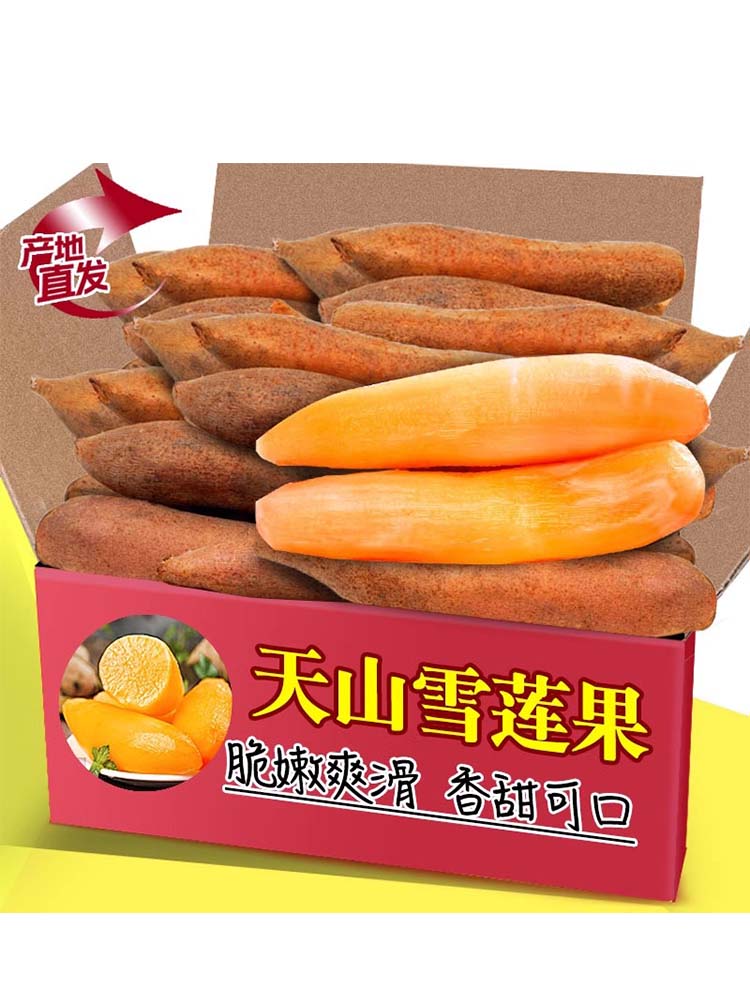 云南天山雪莲果12斤新鲜水果应当季孕妇红心黄心雪连果特整箱包邮