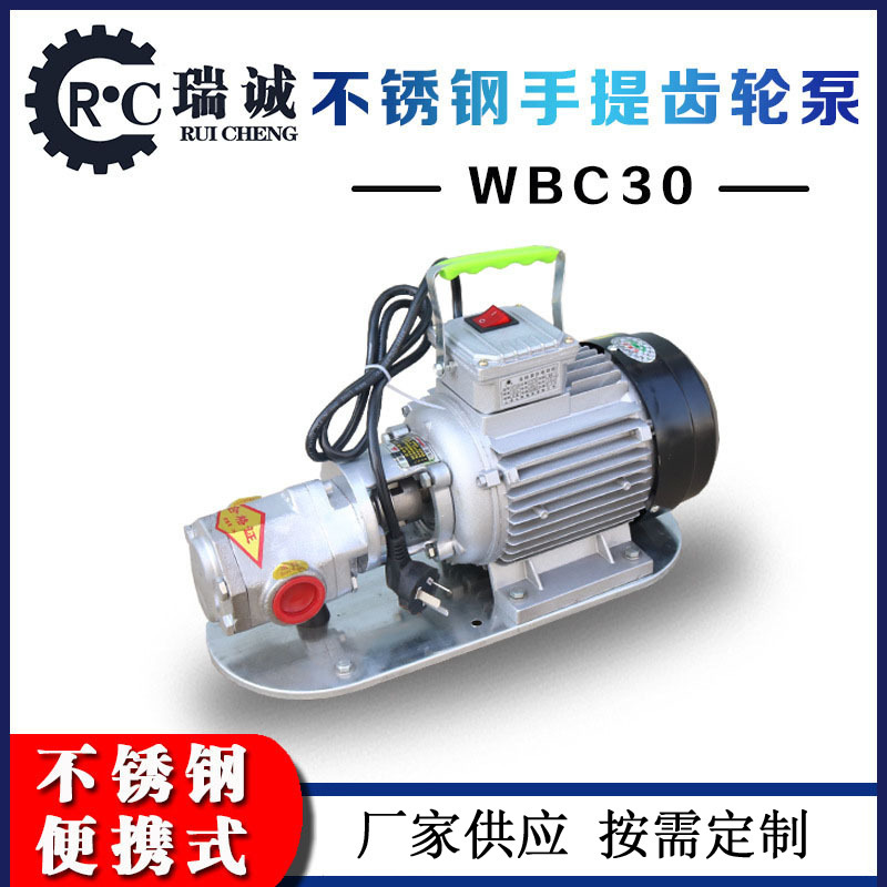 厂家加工小型不锈钢WCB30电动齿轮泵齿轮油泵微型泵头耐腐蚀