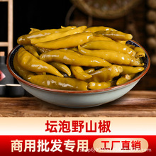 ݽС׽Ĵخa콷ĴݽҰɽl