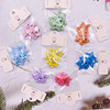 Hairgrip, refreshing ponytail, children's hairpins, hair accessory