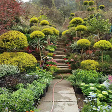 �ؑc�����S�������͘�ǧ�ӽ���� ���~ֲ��@�־G��������ľ