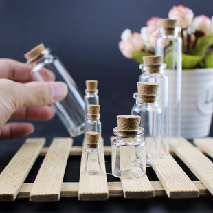 10 Pieces of Aquatic Plant Seed Storage Bottles, Plant Succulent Flower Seed Storage Bottles, Sealed Glass Bottles with Lids, Storage Bottles