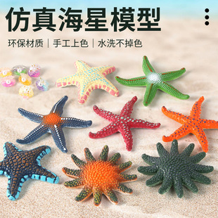 Sea Animal Model Children's Science and Education Simulation Marine Life Starfish Shell Enlightenment Cognitive Beach Toys Wholesale