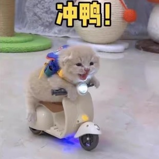 �W�t�ؼ�Ħ��܇���D늄�����к�؈��늄�܇�u�[Ů���ż�Ħ��܇