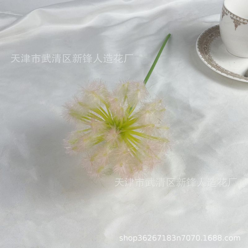 タンポポは玉ねぎの花球の造花撮影だけを模倣しています。|undefined