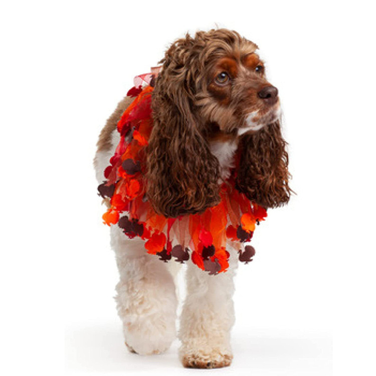 61LrSv6bS7L._AC_SL1500_