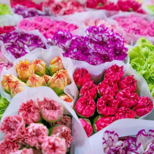 �r�л�ֱ�lˮ����ˮ�������նY��廨��������ܰ�r���ٺϻ������