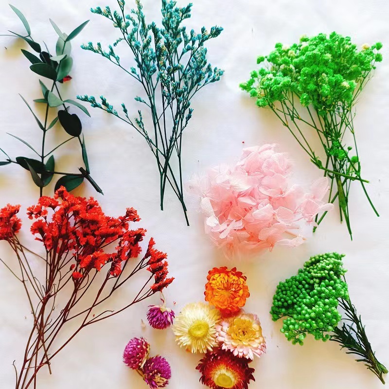Festival bricolaje hecho a mano material de flor eterna planta flor seca florero flotante aromaterapia flor seca abanico de material paquete al por mayor