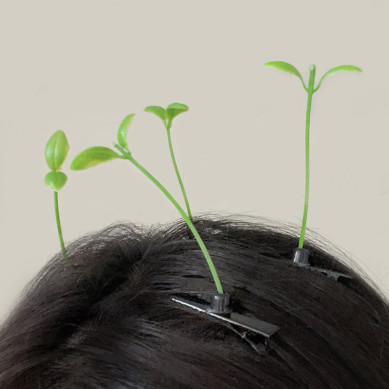 Women's Simple Style Grass Plastic Hair Clip display picture 6