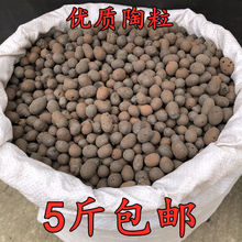 陶粒球包邮花卉盆栽防烂根多肉种植花盆垫底无土栽培养花空心陶粒