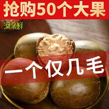 �_�h���ɹ���Ş������Ϸ�Ұ���V�����������a�_�h������؛