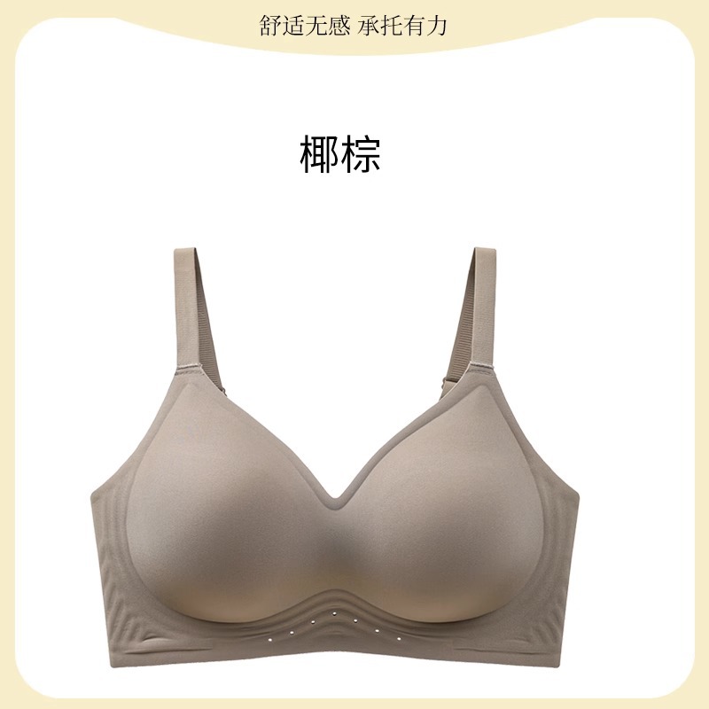 코코넛 야자