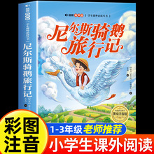 ᠖˹TZӛ ʈDע ͯČW СW123꼉nx