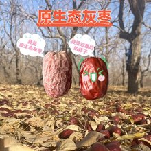 �½�ԭ���B�җ�2��5��10��20���ͥ�����������lһ�����l�½�ֱ�l