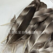 �S�ҬF؛�J���Cβ����ë��ˇƷñ���b����Ұ�uëdiy���y��ë