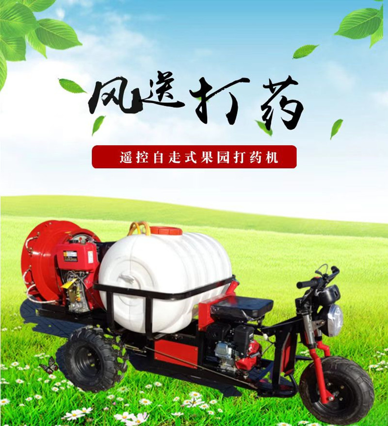 微信图片_20241225110529_副本1