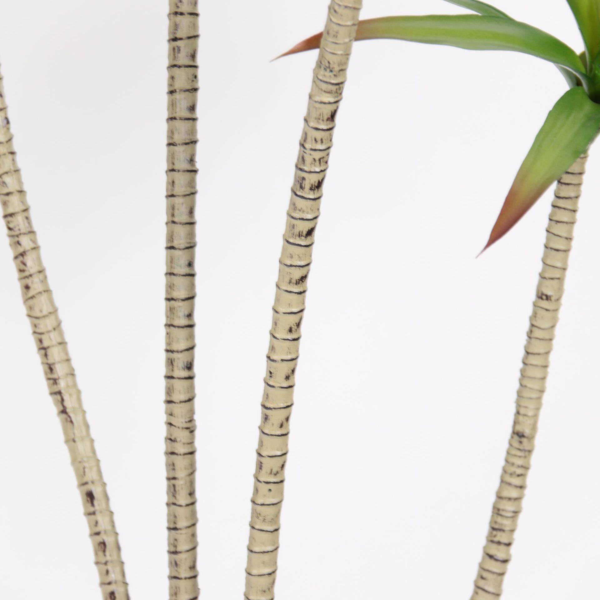 Simulación de plantas verdes Simulación de agave Lujo ligero Sala de estar interior Decoración del suelo Decoración Árbol de sangre de dragón Árbol falso Paisaje en maceta