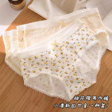 碎花A类婴儿棉纯棉内裤女全棉抑菌裆透气中腰包臀少女三角裤批发