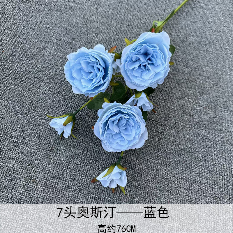 Austin azul de 7 cabezas