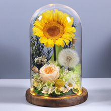 ���տ��������ѹ�Ӣ�滨�Y�мҾ�����[�����ώ�ͬ�W����Y��羳