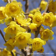 ۳�����ԭ�a�����D÷�����Ԙ�������͎��������殔���_���D÷��