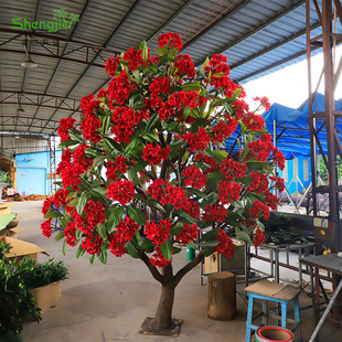 ����tɫ�u����������̈��@�־��^�쾰�b���ȼ�����Ɂ�D����