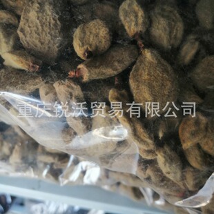 1�����ɱ��Ҹɹ����җn����ӰT�Ҹ��׹���Ʒ