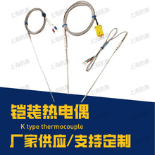 �ɏ�K���z�b���ż�̽�^������PT100 RTD�ضȂ����� ���a����|