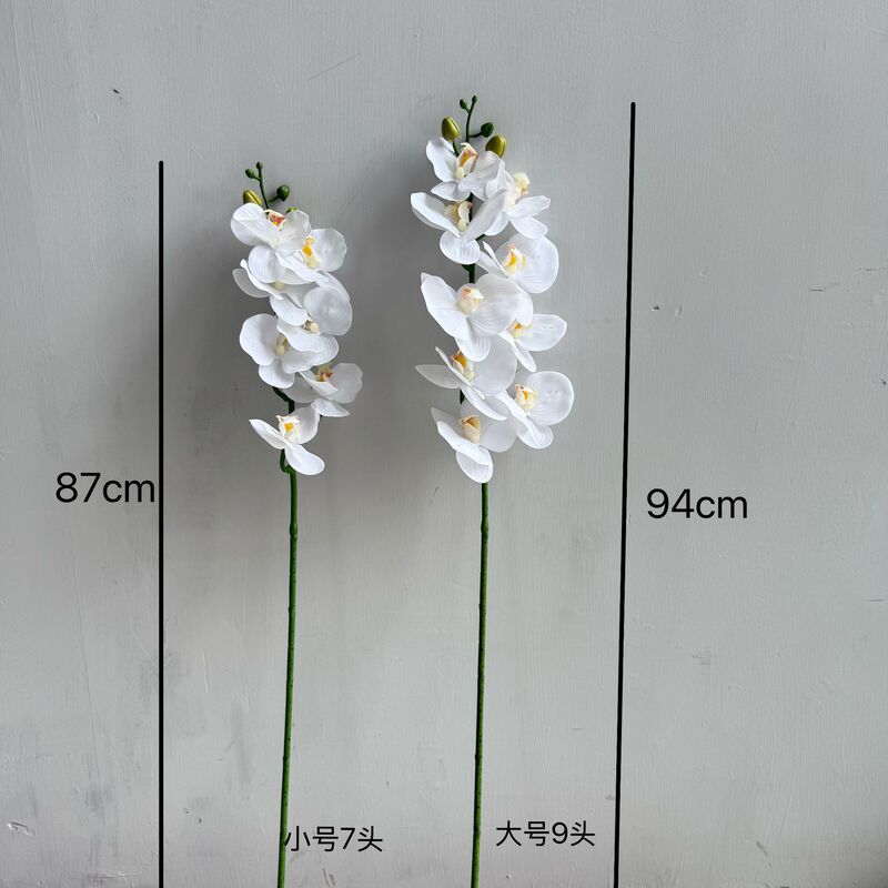 模擬感触胡蝶蘭シングルハイエンド装飾品白造花フィルム結婚式ホームソフト装飾フラワーアレンジメント|undefined