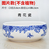 Ceramics, round big flowerpot, narcissus, wholesale