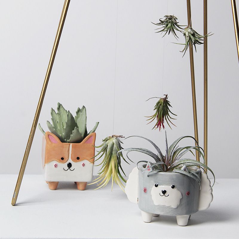 クリエイティブな多肉植物用セラミック製小型植木鉢、かわいい動物型の鉢、サボテンや多肉植物用の鉢、デスクトップやバルコニーの装飾、緑の植物|undefined