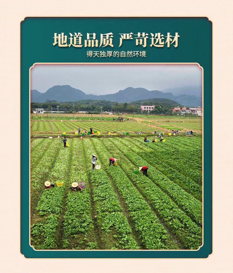 Dried Cuscuta Seeds Tu Zi Zi 500g Whole Herb for Tea Wine and Decoction Use overview