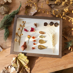 Creative DIY Handmade Photo Frame with Dried Flowers, Nordic Style Specimen Design—6-inch & 10-inch Horizontal/Vertical Solid Wood 3D Photo Frames for Tabletop Display