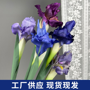 ��Ȼ�L�߼�������֧�۠��m�Sβ�����滨��c��Y�廨�b�ܛ�b�쾰