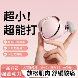 按摩枕/靠垫;手部按摩仪;其他按摩器材