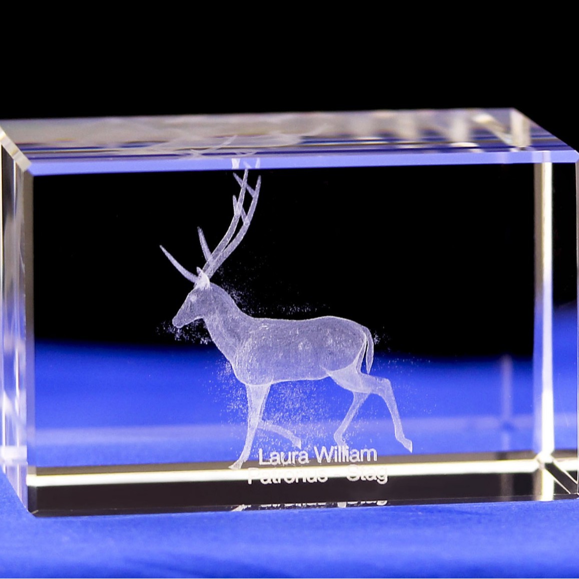 Pequeño puente 3D tallado interior adornos de cristal dinosaurio tortuga tigre águila modelo animal recuerdo del océano