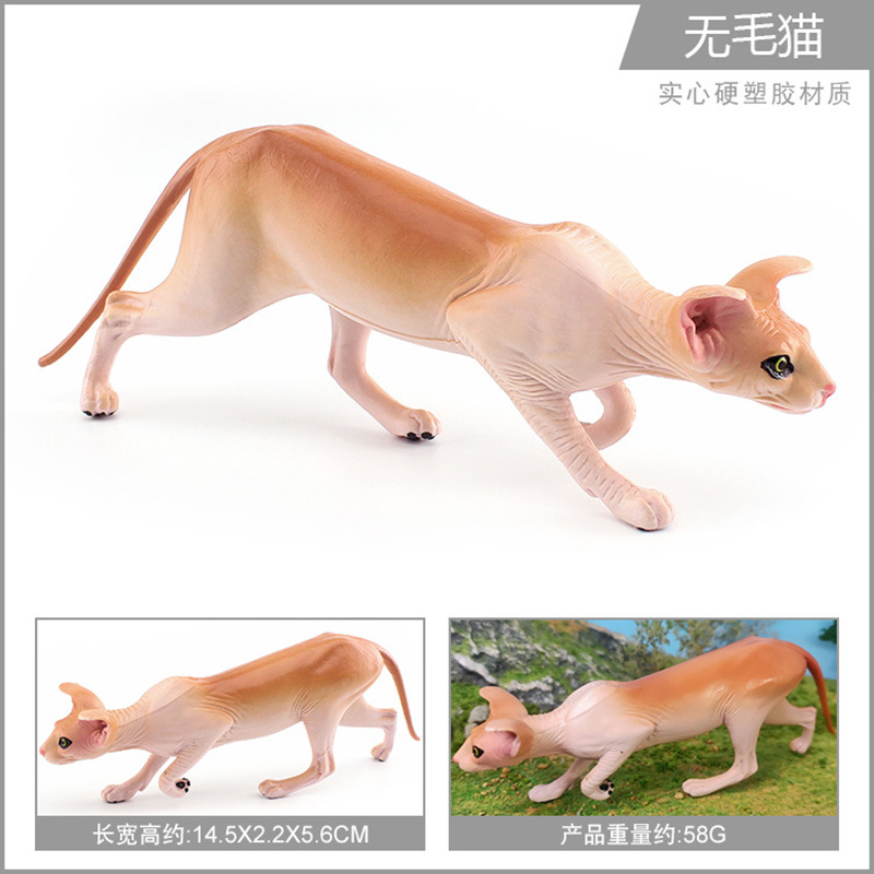 Pl127 - 1834 gato sin pelo 58g
