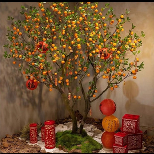 �������Ә��S��҃��������bt��������ʽ�٘�ʯ�������쾰