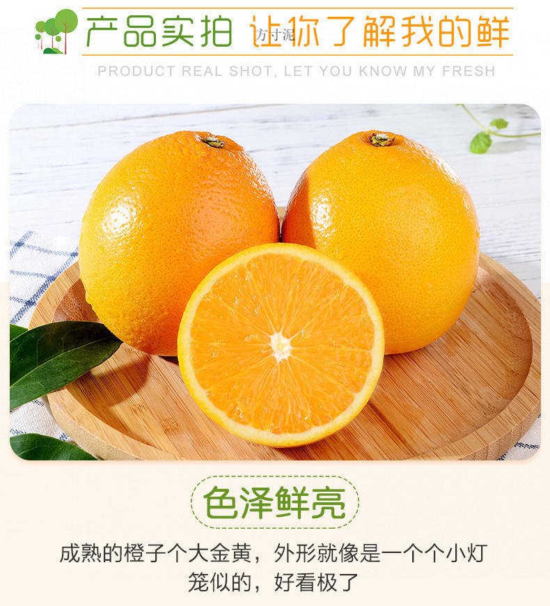 fe65bc53-6511-4600-98e1-c938d2ce546b.jpg?x-oss-process=image/format,png