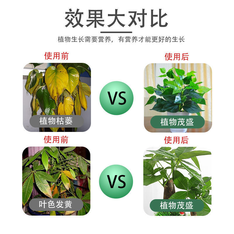 O1CN01Jfi4cl2IuWLFlpo8q_!!2212