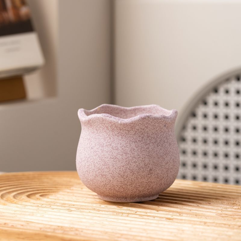 Succulent Ceramic Flower Pots, Cheap and Personalized, Outdoor Succulent Special Pots, Internet Celebrity Simple and Creative Desktop Decoration Frosted