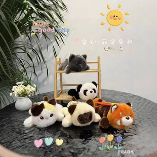 �羳�¿����Ќ���؈����؈�����؈����ë�q��߿ɐ۶Y�����ޒ��