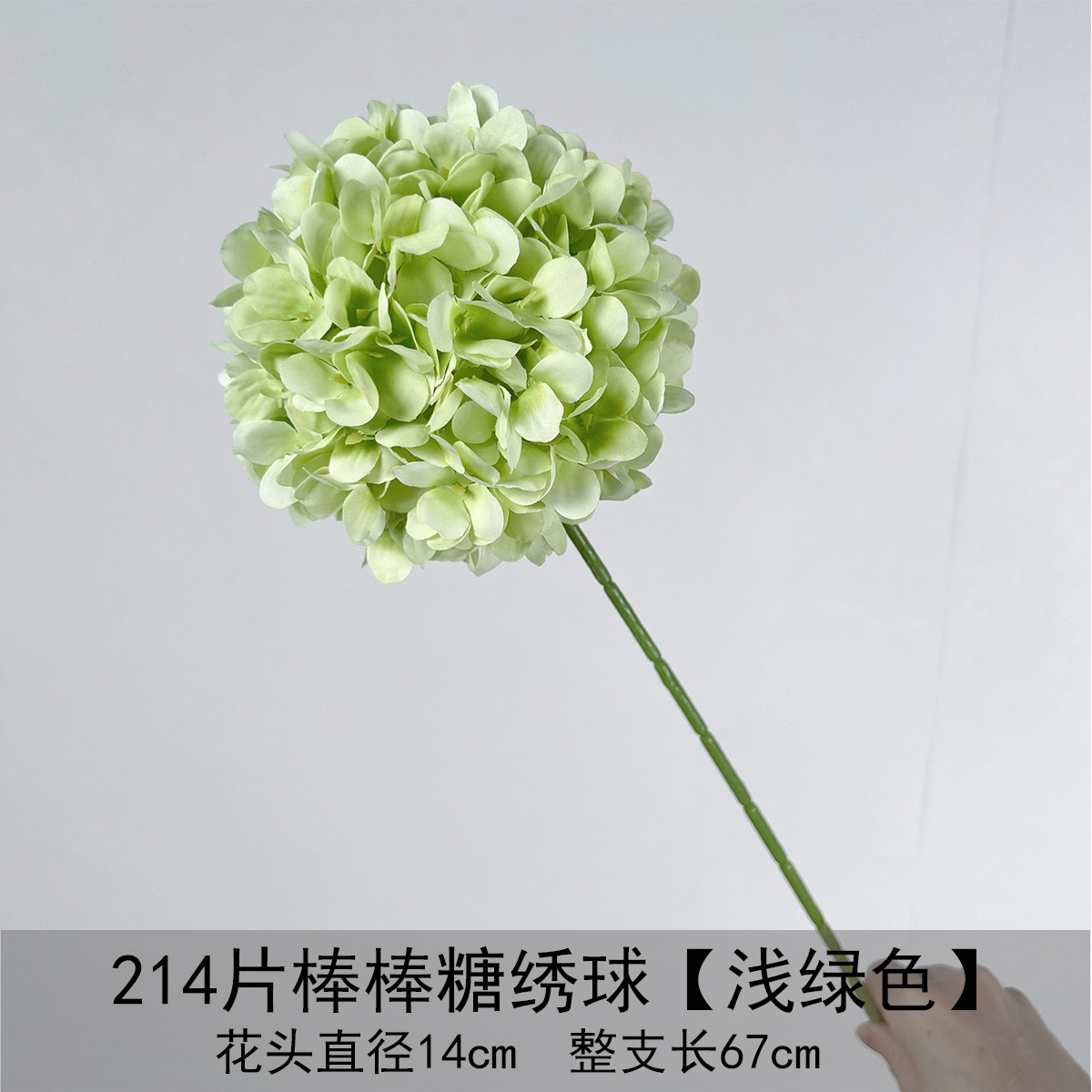 214 hortensias de piruleta - verde claro