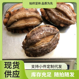 ���l����U�~����10kg���û���������U�~ؐ��r��� ���ʳ��