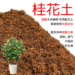 �����I�B�����Խ���ļ��𻨘������¹��y��軨�ЙC����