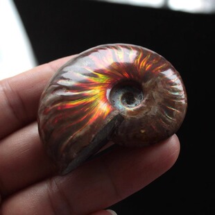 ��Ȼ�߲��ݻ�ʯ�߲ʹ��ʯ���ﻯʯԭʯ�˱��߲ʌ�ʯ�[����ͯ����