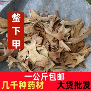 �h�¼� �Mצ��һ������] �M�¼���ș���M�׳��M�¼��M���^צ��