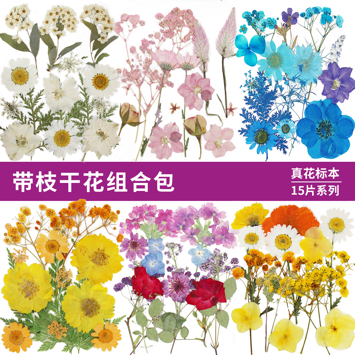 微信图片_20220926000738